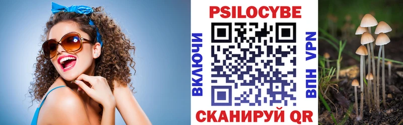 Псилоцибиновые грибы ЛСД  Болохово 